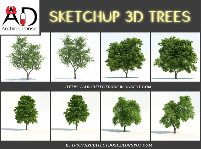3d Plants For Sketchup